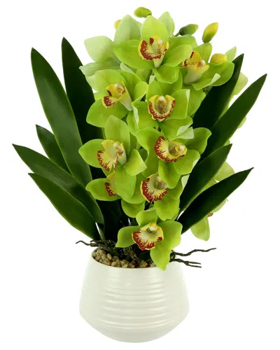 Creative Displays Green Orchid Arrangement In White Ceramic Pot