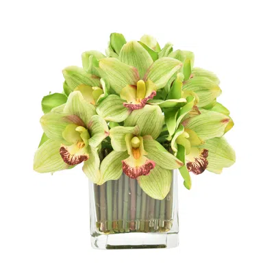 Creative Displays Green Orchid Bouquet Floral Arrangement In Multi