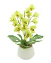Creative Displays Green Orchid Floral Arrangement In Multi