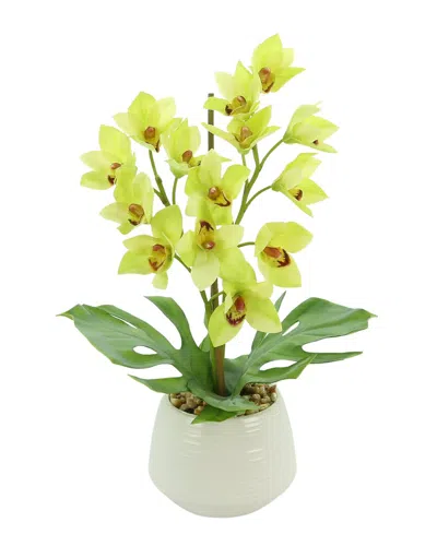 Creative Displays Green Orchid Floral Arrangement In Multi