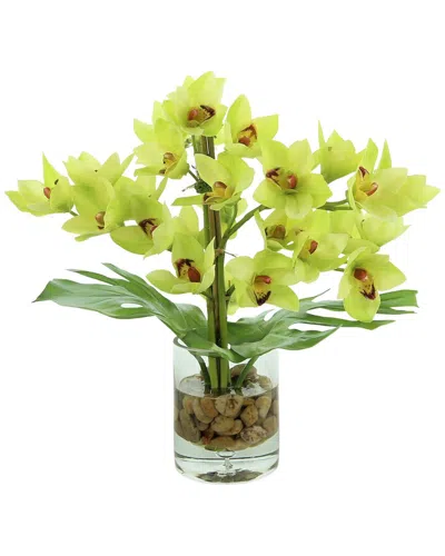 Creative Displays Green Orchid Floral Arrangement In Multi