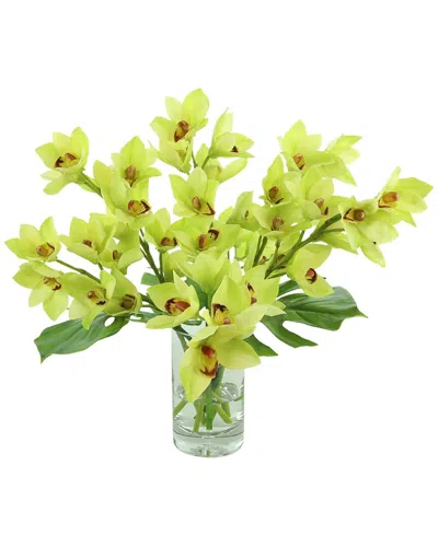 Creative Displays Green Orchid Floral Arrangement In Multi