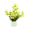 Creative Displays Green Orchid Floral Arrangement