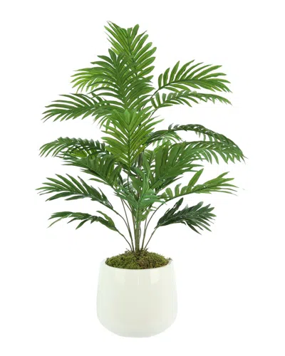 Creative Displays Green Palm Tree In Multi