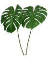 Creative Displays Green Philodendron Stem In Green
