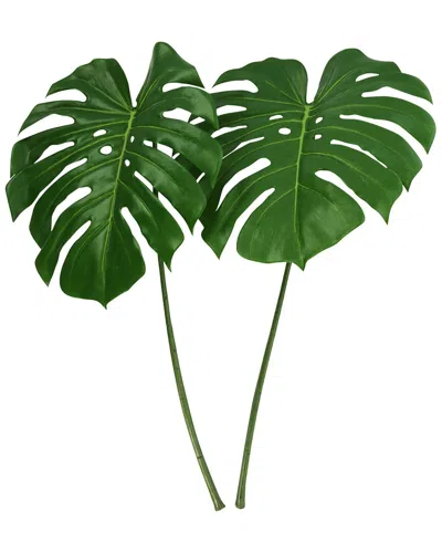 Creative Displays Green Philodendron Stem