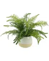 Creative Displays Green River Fern Arrangement In Green