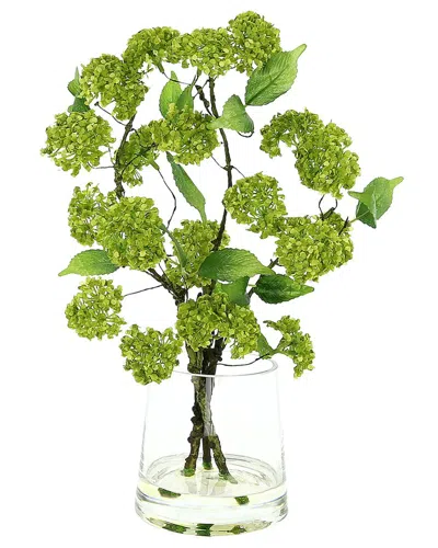 Creative Displays Green Snowball Spray Floral In Tapered Glass Vase With Acrylic Water In Multi