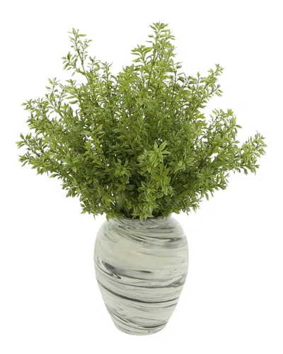 Creative Displays Green Tea Leaves Plant