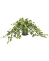 Creative Displays Green Trailing Ivy Plant