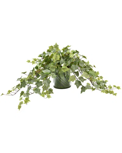 Creative Displays Green Trailing Ivy Plant
