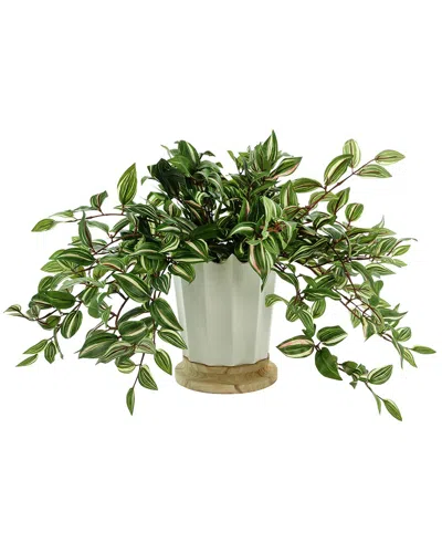 Creative Displays Green Wandering Jew Arranged In Ceramic And Wood Vase In Multi