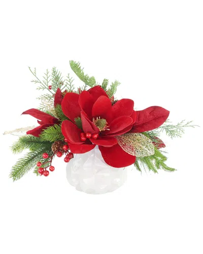 Creative Displays Handcrafted Holiday Magnolia Arrangement With Evergreen &  Berries In Decorative C In White