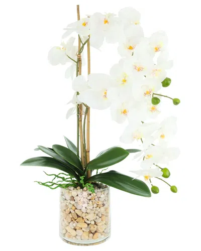 Creative Displays Handmade Faux Orchid Arrangement In Glass With Rocks In Neutral