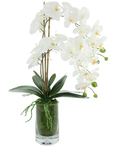 Creative Displays Handmade Faux Orchids Arranged In Glass Vase With Moss In White