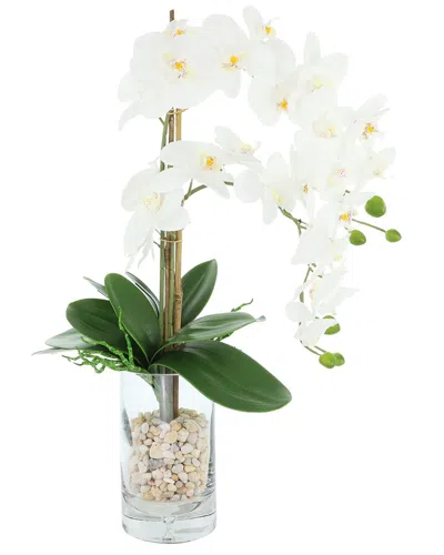 Creative Displays Handmade Faux Orchids Arranged In Glass Vase With Rocks In White