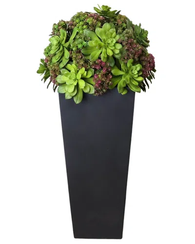 Creative Displays Handmade Faux Succulents & Sedum In Fiberstone Planter In Black