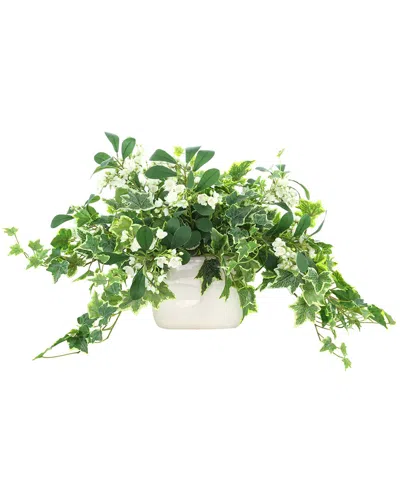 Creative Displays Handmade Faux Variegated Ivy & Budding Stems In Ceramic Vase In Green