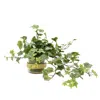 Creative Displays Hanging Ivy Floral Arrangement