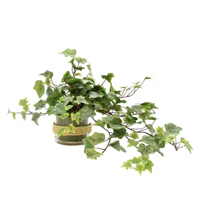 Creative Displays Hanging Ivy Floral Arrangement In Green