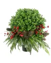 Creative Displays Holiday Boxwood Drop-in With Snowy Pine & Berries In Green