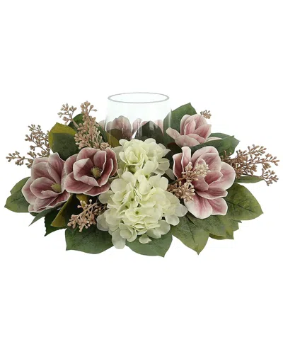 Creative Displays Hydrangea In Multi