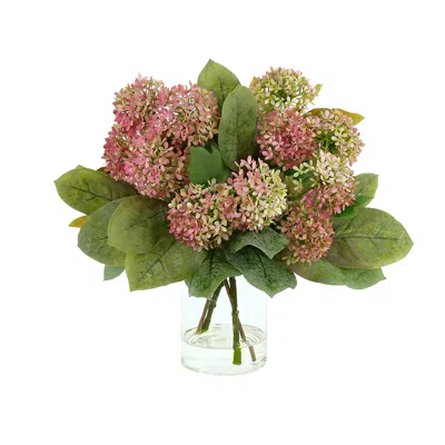 Creative Displays Hydrangeas And Magnolia Leaves Arrangement In Glass Vase With Acrylic Water In Multi