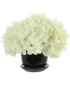 Creative Displays Hydrangeas In A Black Ceramic Pot In White