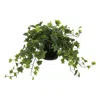 Creative Displays Ivy Arrangement In A Glass Vase