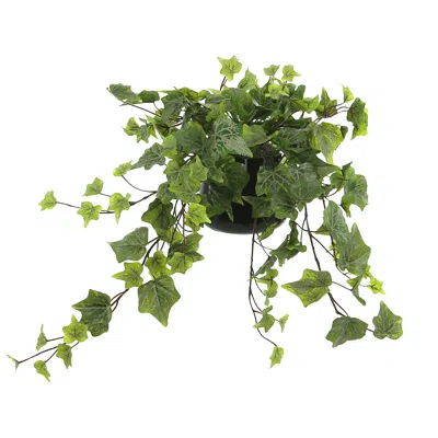 Creative Displays Ivy Arrangement In A Glass Vase