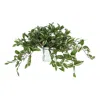 Creative Displays Ivy Arrangement In A Square Glass Pot