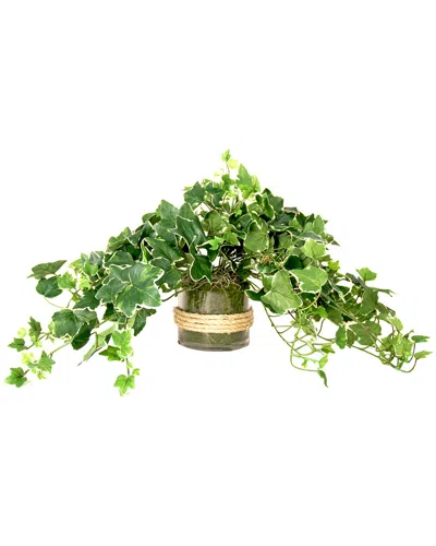 Creative Displays Ivy Bush Arrangement