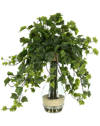 Creative Displays Ivy Plant In A Tall Glass Vase In Green