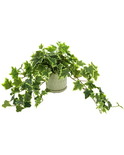 Creative Displays Ivy Plant In Ceramic Pot With Saucer In Green
