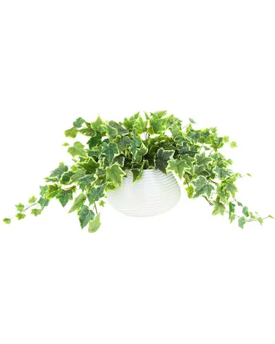 Creative Displays Ivy Plant In Glass Vase In Multi