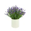 Creative Displays Lavender In A White Round Pot