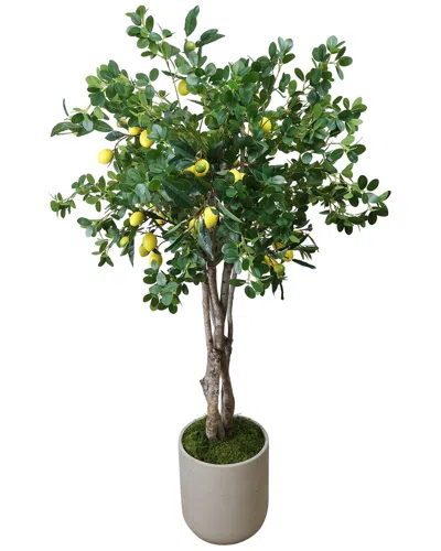 Creative Displays Lemon Tree In Fiberstone Pot In Green