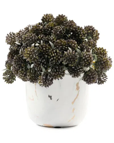 Creative Displays Lucky Berry Arrangement In Ceramic Pot In Black