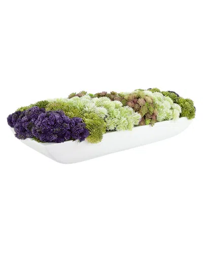 Creative Displays Modern Arrangement With Sedum In Multi