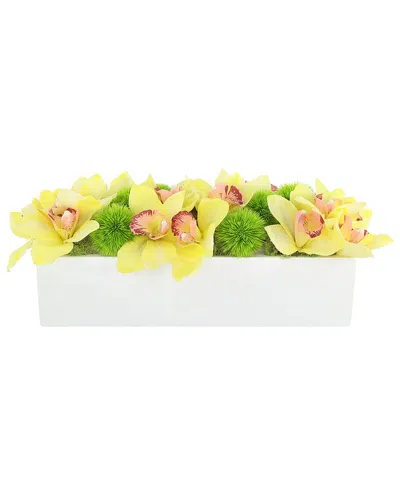Creative Displays Modern Arrangement With Yellow Orchids & Green Allium