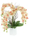 Creative Displays Modern Beige Orchid Arrangement In Round Fiberstone Pot In Beige