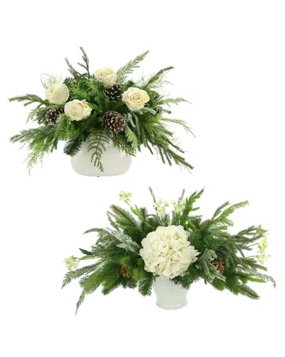 Creative Displays Modern Evergreen Christmas Bundle In Green