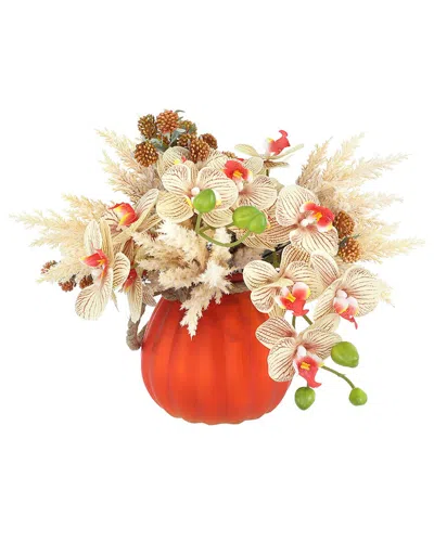Creative Displays Modern Fall Arrangement With Cream Orchids & Pampas In  Pumpkin Vase In Brown