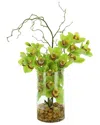 CREATIVE DISPLAYS CREATIVE DISPLAYS MODERN ORCHID ARRANGEMENT IN GLASS VASE