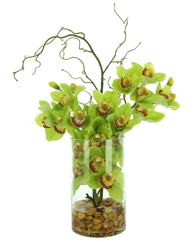 Creative Displays Modern Orchid Arrangement In Glass Vase In Green
