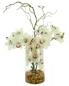 CREATIVE DISPLAYS CREATIVE DISPLAYS MODERN ORCHID ARRANGEMENT IN GLASS VASE