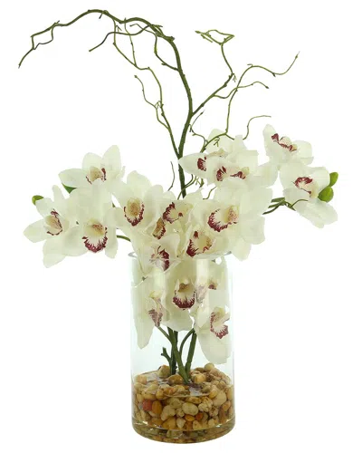 Creative Displays Modern Orchid Arrangement In Glass Vase In White