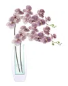 Creative Displays Modern Orchid Arrangement In Mirrored Glass Vase In Transparent