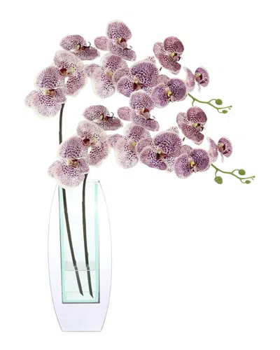 Creative Displays Modern Orchid Arrangement In Mirrored Glass Vase In Transparent