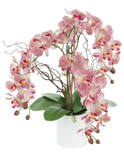 Creative Displays Modern Pink Orchid Arrangement In Round Fiberstone Pot